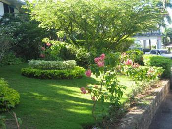 Paradise Brandon Hill Guest House มอนเทโกเบย์ ภายนอก รูปภาพ